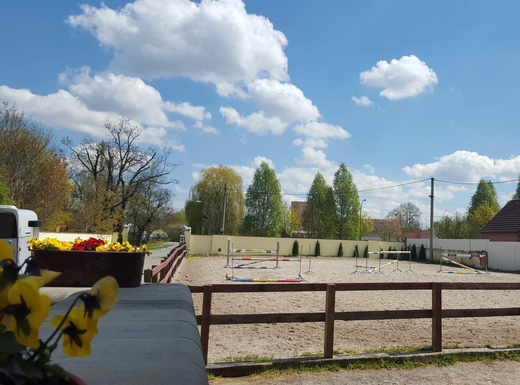 Farm Stay Nh Stables Nyrany Eksteriør bilde