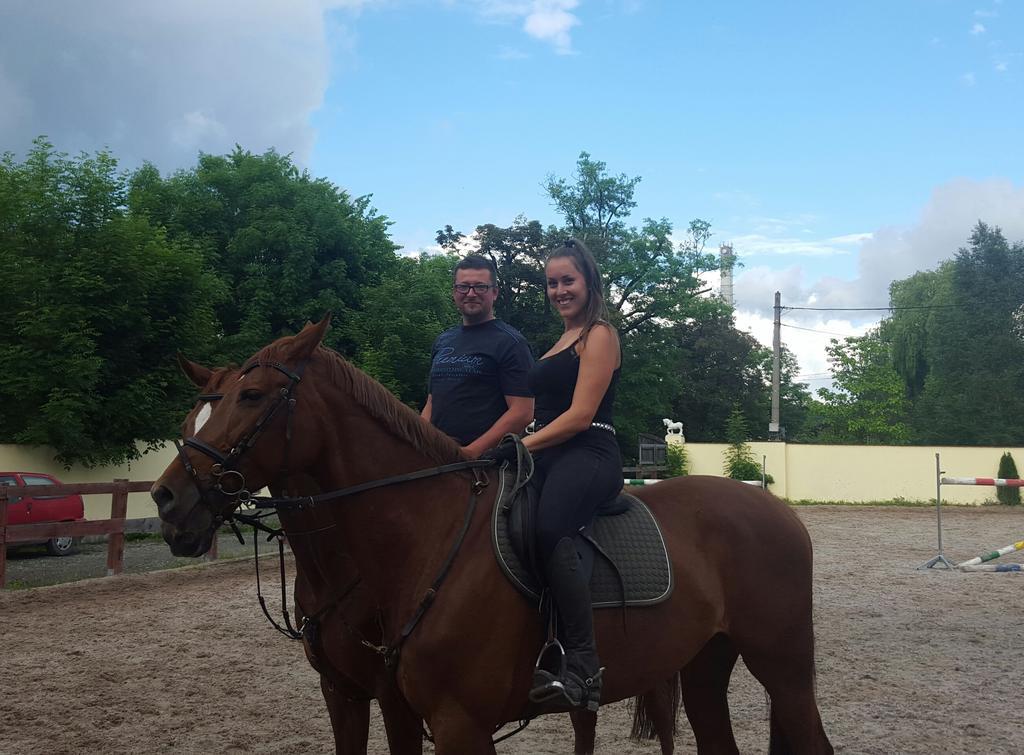 Farm Stay Nh Stables Nyrany Eksteriør bilde