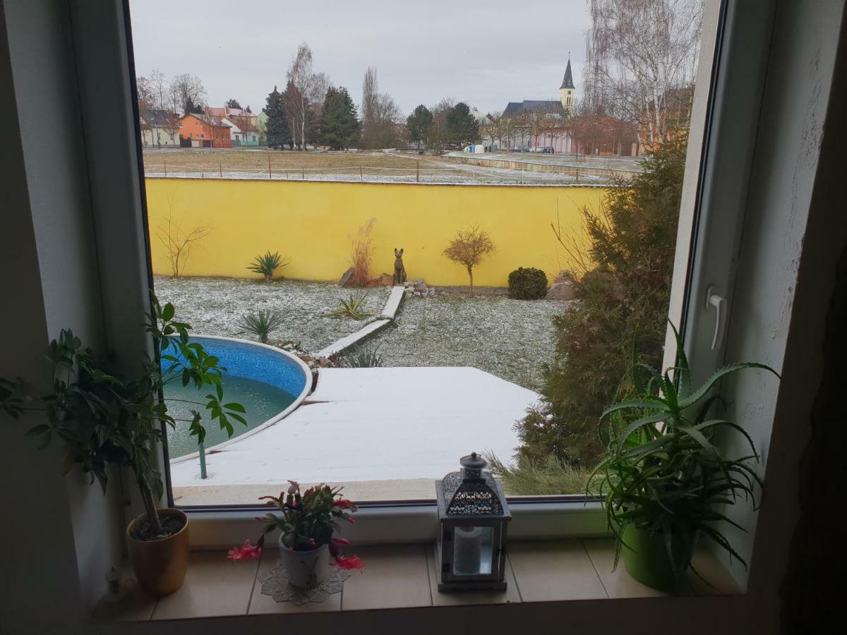Farm Stay Nh Stables Nyrany Eksteriør bilde