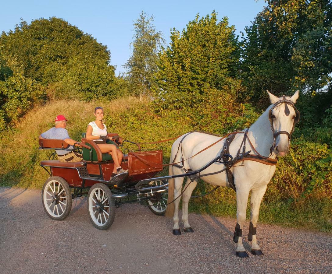 Farm Stay Nh Stables Nyrany Eksteriør bilde